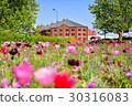 Tulip and red brick warehouse 30316083