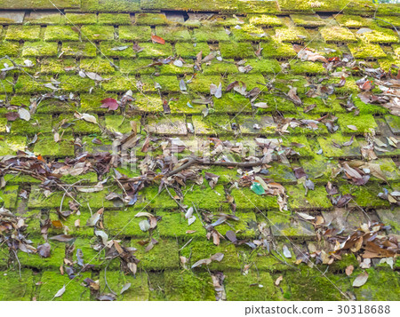 Abstract wood roof tiles with moss and dry leaves. 30318688