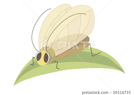 Suzuki Suzuki 30318735