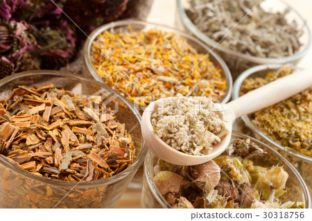 healing herbs in glass cups, herbal medicine 30318756