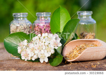 healing herbs in glass bottles, herbal medicine healing herbs in glass bottles, herbal medicine 30319068