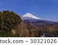 從山路看到的富士山 30321026