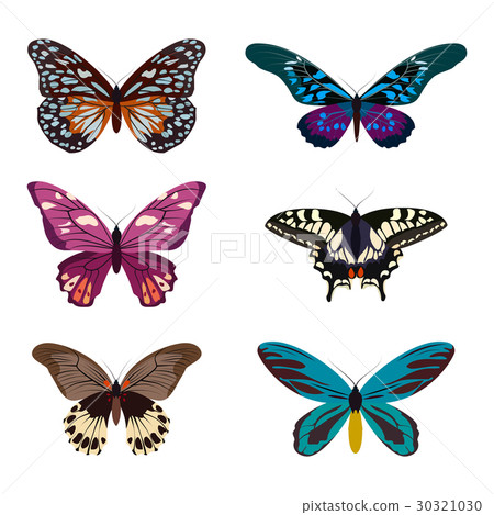 Big collection of colorful butterflies 30321030