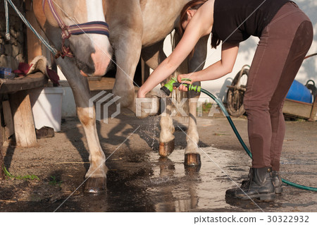 Young woman cleaning horse hoof by stream of water Young woman cleaning horse hoof by stream of water 30322932