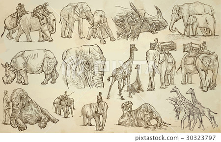 BIG and HEAVY ANIMALS - An hand drawn vector pack 30323797