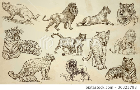 CATS - An hand drawn vector pack, line art 30323798