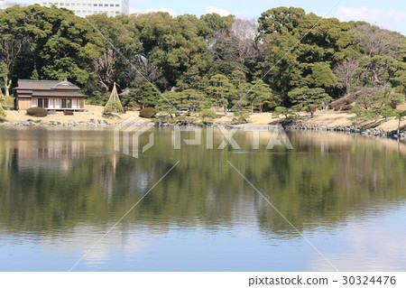 Hamarikyu Garden 30324476
