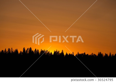 Sunset over trees Sunset over trees 30324795