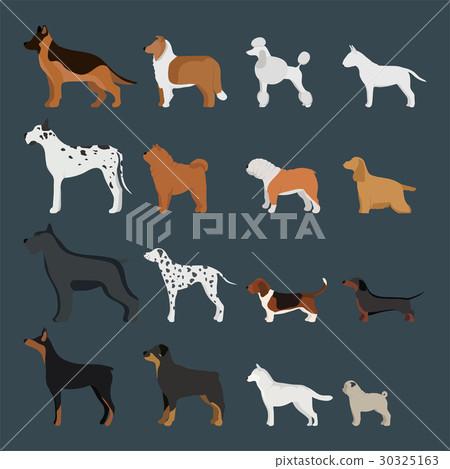 Funny cartoon dog character bread in cartoon style Funny cartoon dog character bread in cartoon style 30325163