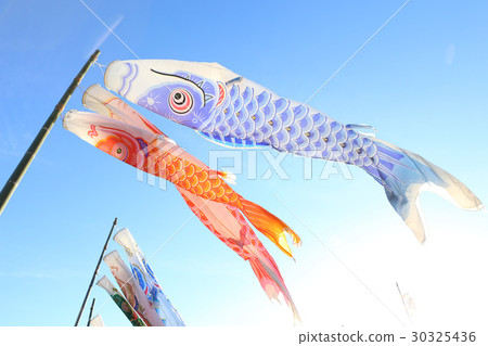 Carp streamer Carp streamer 30325436