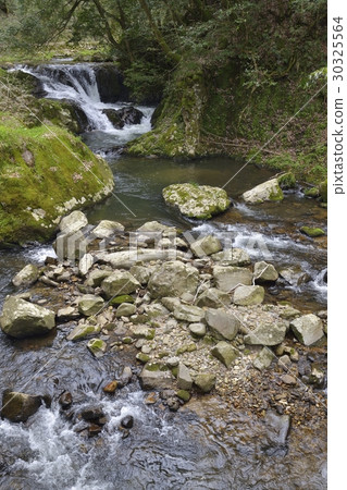 Yae waterfall (Shimane prefecture) 30325564