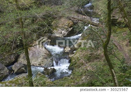 Yae waterfall (Shimane prefecture) 30325567