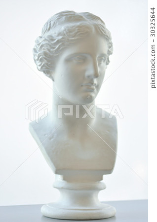 Milo Island Venus Bust 30325644