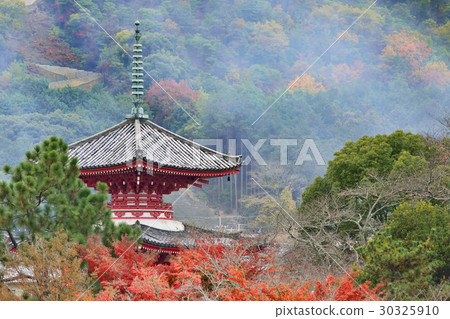 Daikaku-ji Temple Kagoshima Kyoto Sagano 30325910