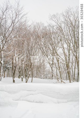 Tree covered with snow on winter storm day in forest mountains . 30328488