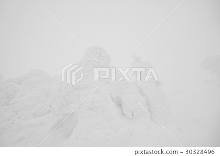 Snow Monsters area Mountain Zao, Japan . 30328496