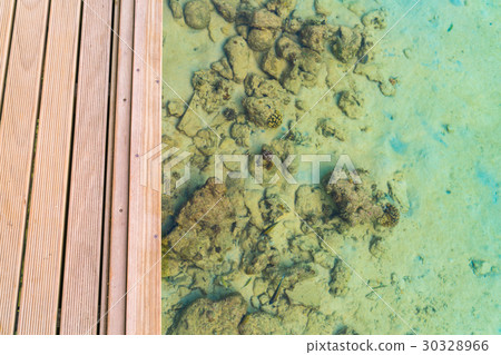Top view of wooden deck in tropical Maldives island and beauty of the sea with the coral reefs . Top view of wooden deck in tropical Maldives island and beauty of the sea with the coral reefs . 30328966