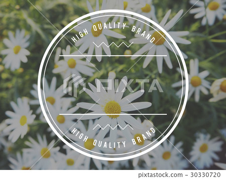 High Quality Brand Badge Banner Copy Space 30330720