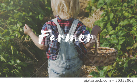 Farmer Harvest Land Plantation Agriculture 30332002