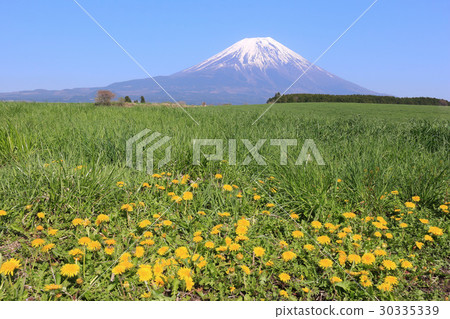 晨霧高地山和大草原 晨霧高地山和大草原 30335339