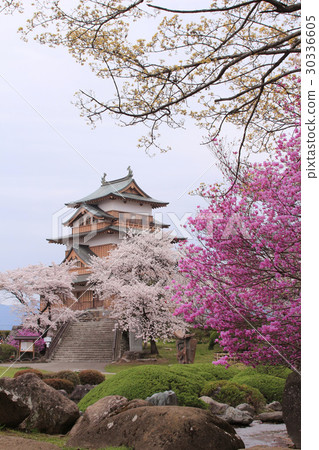高島城和櫻花盛開 30336605