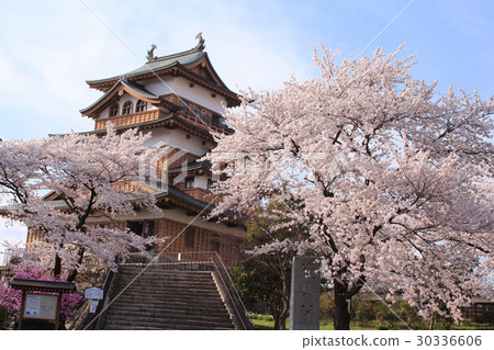 高島城和櫻花盛開 高島城和櫻花盛開 30336606