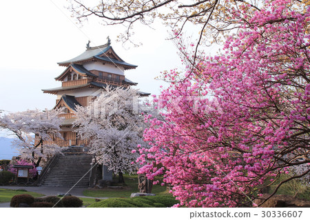 高島城和櫻花盛開 高島城和櫻花盛開 30336607