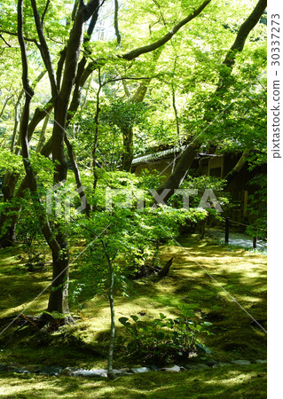 京都庭園 京都庭園 30337273