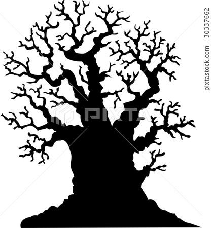 Silhouette of leafless oak tree Silhouette of leafless oak tree 30337662
