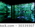 Rurikoin May 30339307