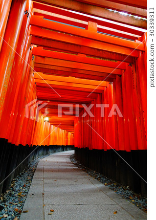 伏見Inari Taisha 伏見Inari Taisha 30339311