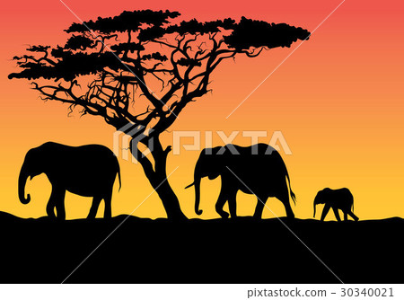 Silhouette of an animal 30340021
