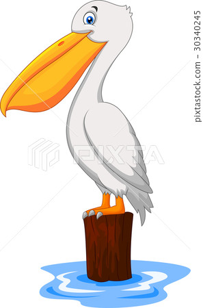 Cartoon Pelican in the bay - Stock Illustration [30340245] - PIXTA
