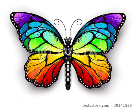 Rainbow monarch butterfly 30341580