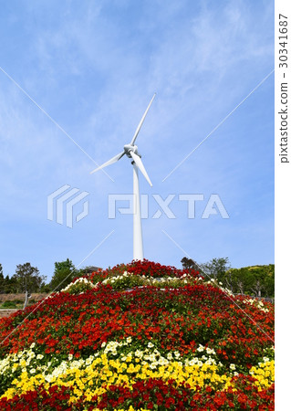 Wind power generation carbon trading sdgs sustainable carbon pricing Nagashima Town Kagoshima Prefecture 30341687