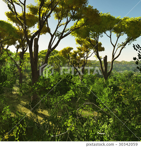 Bush trees in Australia 3d rendering Bush trees in Australia 3d rendering 30342059