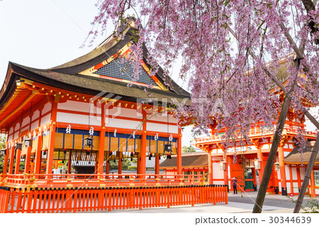 Fushimi Inari Taisha Cherry Blossoms and Foreign residence Kyoto Prefecture Fushimi-ku, Kyoto City * Shot in April 2017 30344639