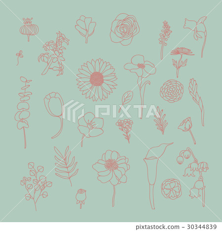Flower doodles 30344839