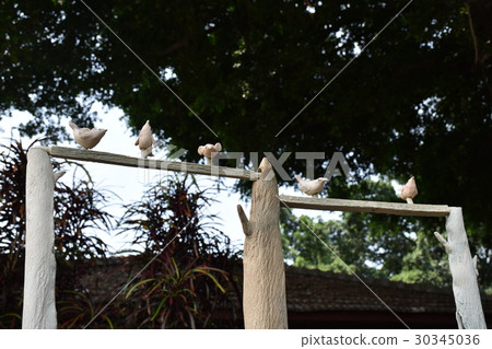 台南,321巷,花,木,老建築,日式,兵工廠,宿舍,歷史,日據時代,軍官宿舍,整修,文創,鳥 台南,321巷,花,木,老建築,日式,兵工廠,宿舍,歷史,日據時代,軍官宿舍,整修,文創,鳥 30345036