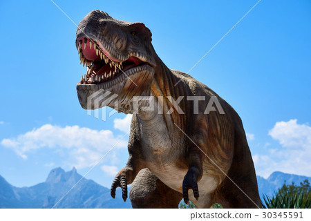 Tyrannosaurus Rex 30345591