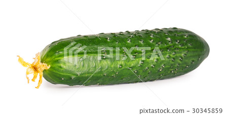 Green fresh juicy cucumber Green fresh juicy cucumber 30345859