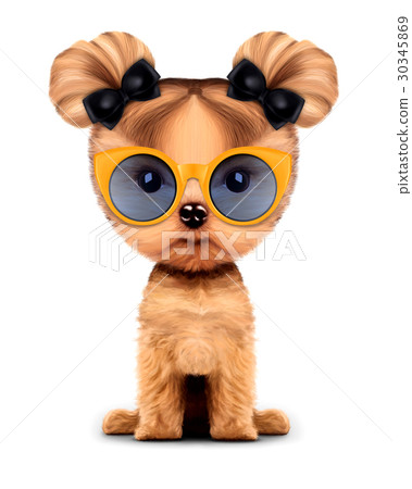 Adorable doggy with sunglasses, isolated on white. Adorable doggy with sunglasses, isolated on white. 30345869