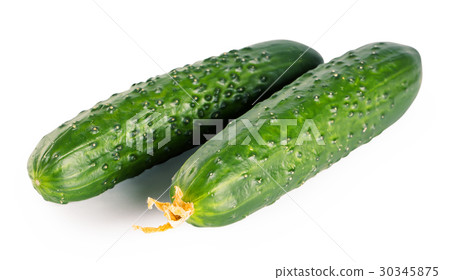 Two fresh cucumbers 30345875