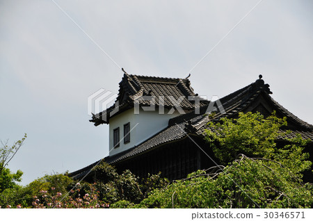 Kakegawa Castle 30346571
