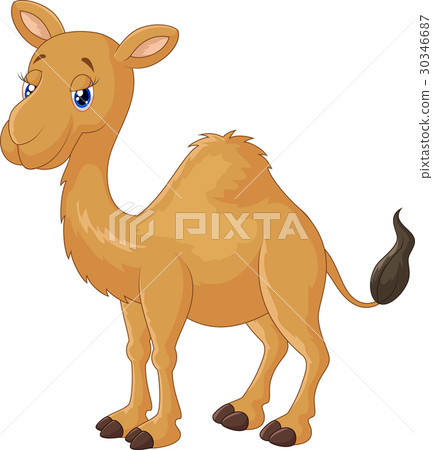 Camel cartoon 30346687