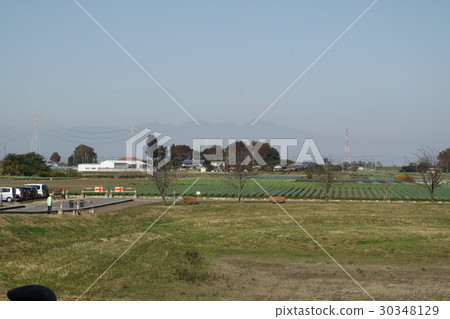 深谷市深谷縣八個基地的風景 30348129