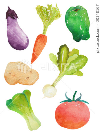 Vegetable watercolor 30348167