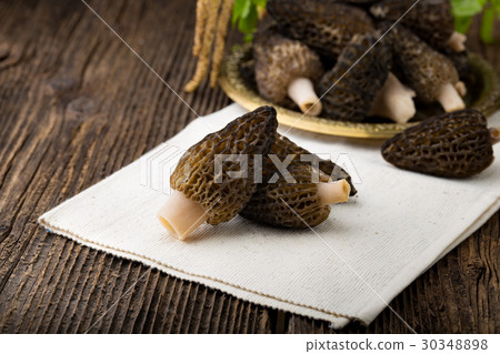 Fresh morchella conica, seasonal mushrooms. 30348898