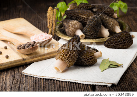 Fresh morchella conica, seasonal mushrooms. 30348899