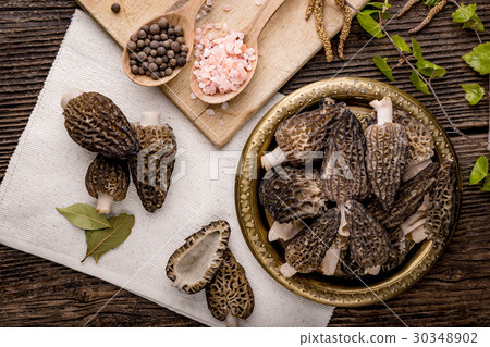 Fresh morchella conica, seasonal mushrooms 30348902